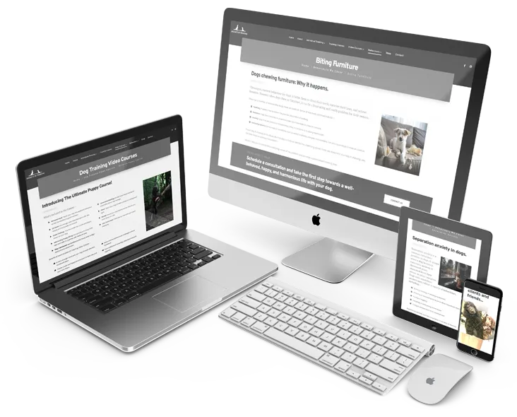 Brodie's K9 Training